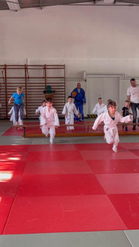 Judo-Minis