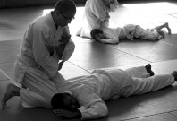 https://pixabay.com/de/aikido-martial-arts-362954/